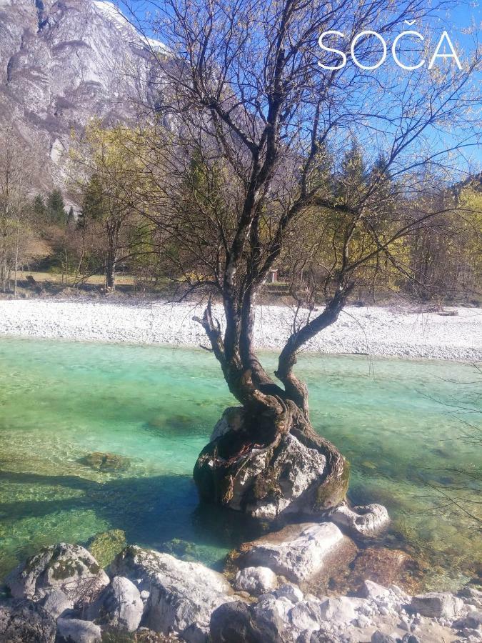 Apartament Apartma Kukc Bovec Kal-Koritnica Zewnętrze zdjęcie