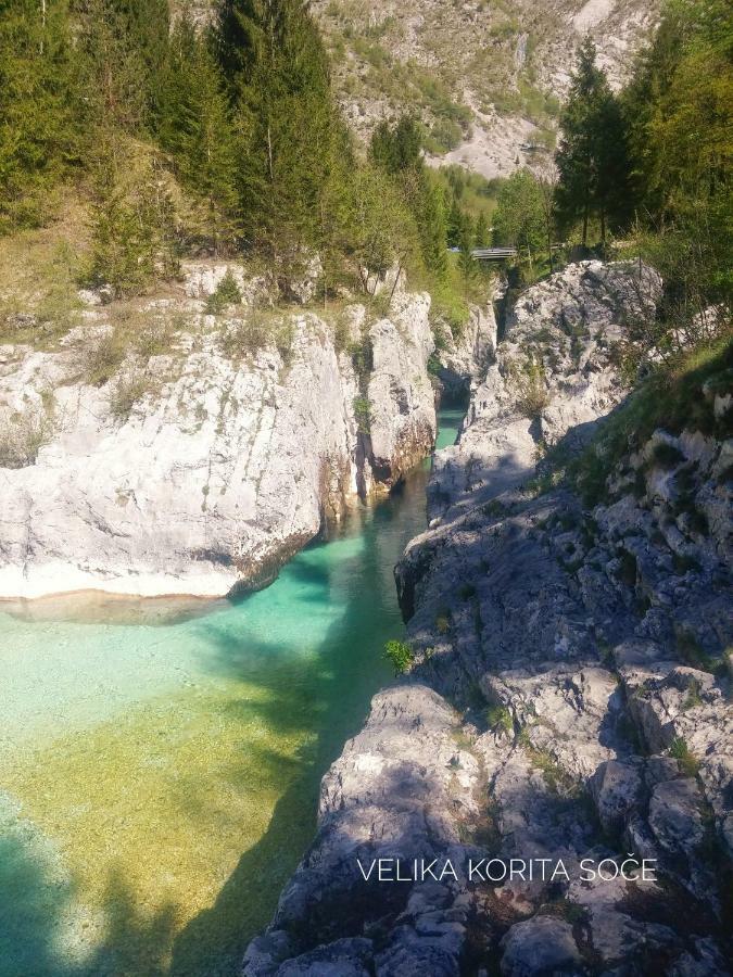 Apartament Apartma Kukc Bovec Kal-Koritnica Zewnętrze zdjęcie